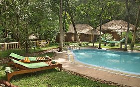 Woods N Spice - Thekkady